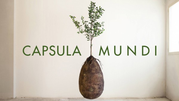 Capsula Mundi - drzewo zamiast nagrobka?